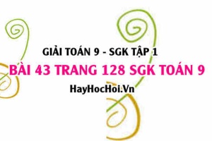 Giải bài 43 trang 128 SGK Toán 9 tập 1